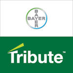 Photo: Bayer