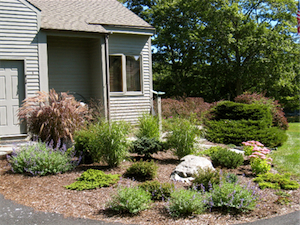 9407f Photo courtesy of Catherine Conn Court / Landscape Gardens & Design