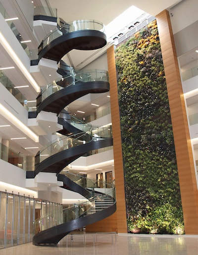 NEDLAW LIVING WALLS - Largest active living wall in the U.S. NEDLAW Living Walls at Drexel University in Philadelphia