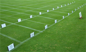 O.J The O.J. Noer Turfgrass Research and Education Facility, University of Wisconsin, Madison, WI. Photo: Jim Novak