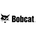 Logo: Bobcat