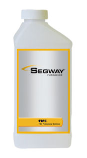 Segway Photo: Segway