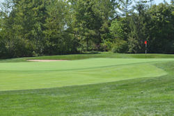 Vision_ProHD Photo: BeckerUnderwood.com/productsservices/turfhorticulture/turf-colorants/vision-pro-hd/
