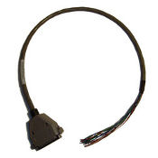 remote_pigtails Photo: RemotePigtails.com