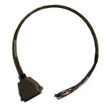 Photo: RemotePigtails.com