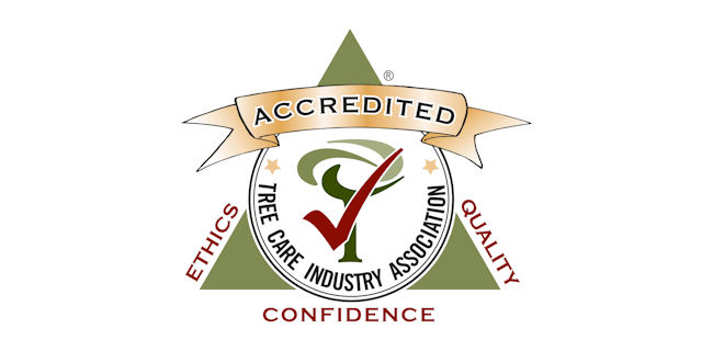 logo: TCIA