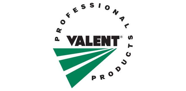 logo: valent