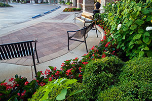 A pleasant stroll. All shrubs are hand pruned so shoppers may enjoy the sitting areas. The hardscapes are checked each season and leveled to prevent tripping hazards. Photo: Linda Oyama Bryan