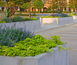 Scenic drive. The parking lot is also decorated with lots of color, trees and plants. The concrete parking lot containers are hand watered during a drought to prevent foliage from burning. Photo: Linda Oyama Bryan