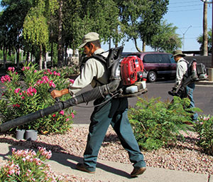 Integrated Landscape Management