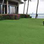 Photo: No Ka Oi Landscape Services