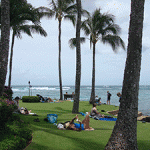 Photo: No Ka Oi Landscape Services