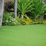 Photo: No Ka Oi Landscape Services