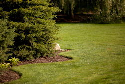 Photo: Winfield.com