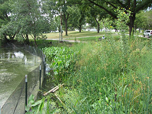 Hoffman Commercial Landscaping