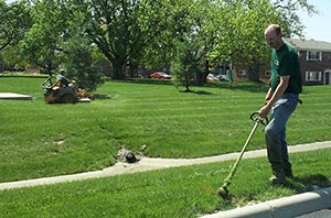 Fairhaven Lawn Care