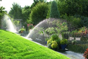 The International Code Council’s landscape irrigation sprinkler standard may be complete early next year. Photo: Rain Bird