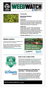 landscape management