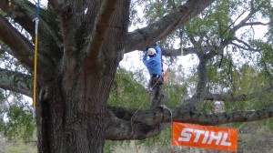 A student competes in the work climb competition at the TCIAF Student Career Days and Student Skills Competition. Photo: STIHL.