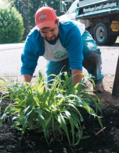Photo: Mirrorscapes’ employees help at new playgound