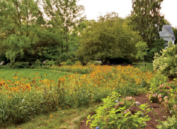 Photos: Rosemary Fletcher Photography