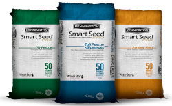 Product: Pennington Seed