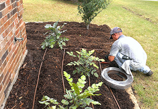 Heads-Up-Sprinkler-Co-Photo-2