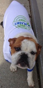 YardApes had a four-legged helper during Day of Service.