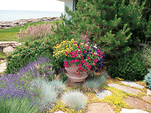 Christensen Landscape Services has benefited from selling containers, tropical plants and other add-ons.