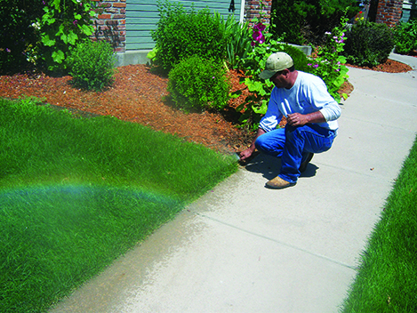Photo: Emerald Isle Landscaping