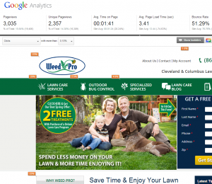 In-Page Analytics (click to enlarge)
