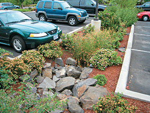 installed a bioswale to manage rain water runoff in a parking lot.