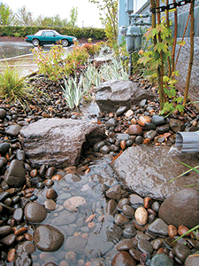At Pacific Landscape Management’s Portland, OR office, the company’s sustainability efforts include annual sustainability fairs and rainwater gardens.