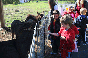 The Mustard Seed hosts free field trips with stations on animals, horticulture and beekeeping, among others.