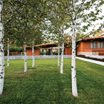 Photos: Paul Crosby; Photographer; Landscape Renovations