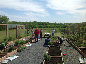 Through a partnership with the nonprofit Grow. Eat. Share., The Mustard Seed helps fight childhood obesity by housing a garden where children can learn about gardening and health.