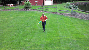 Photo: Grasshopper Lawns