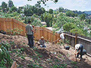 Greywater Corps occasionally leads workshops on how to install graywater systems, such as the lesson shown below.
