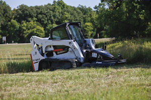 Photo: Bobcat