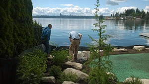 The 35-year-old company serves the greater Seattle area. Photo: City Rain
