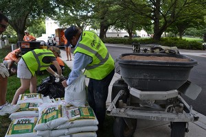 Image: Landscape Management