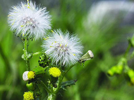 Photo: ©istock.com/Whiteway.