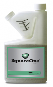 SquareOne