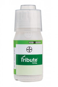 TributeTotal