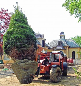 Artisan Gardens provides one-year plant warranties and educates clients on watering.