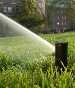 Landscape and irrigation contractors have their eyes on rotors that can work with existing systems. Photo: Rain Bird