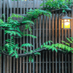 Photos: Gardeners' Guild