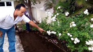 Mike Garcia, founder of Enviroscape LA, walks YouTube viewers through a drip irrigation system. Photo: Screenshot from YouTube