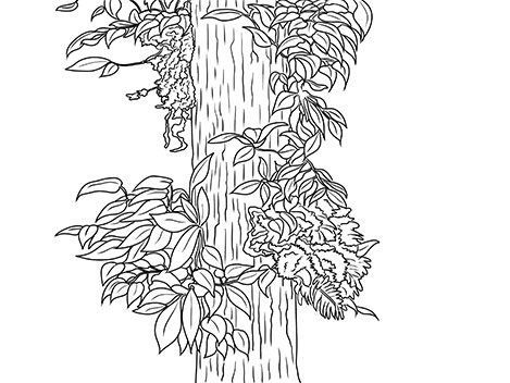 Illustrations: Fiverr.com/artist_team