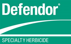 Defendor_USA_05_noDiamond_4C